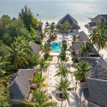 Horizon Of Michamvi Beach Zanzibar Zewnętrze zdjęcie