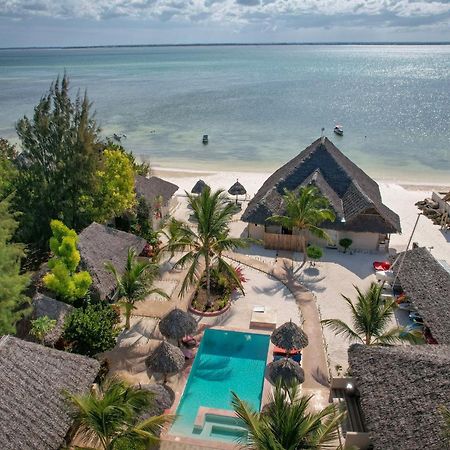 Horizon Of Michamvi Beach Zanzibar Zewnętrze zdjęcie
