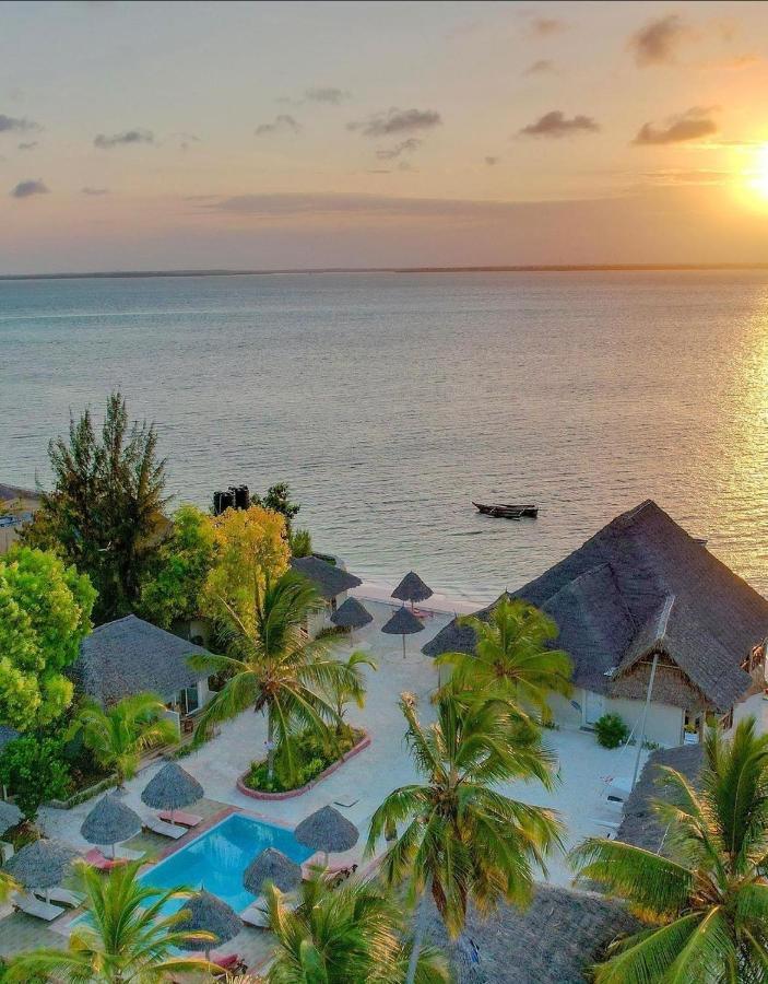 Horizon Of Michamvi Beach Zanzibar Zewnętrze zdjęcie