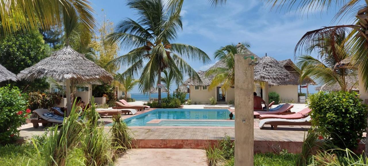 Horizon Of Michamvi Beach Zanzibar Zewnętrze zdjęcie
