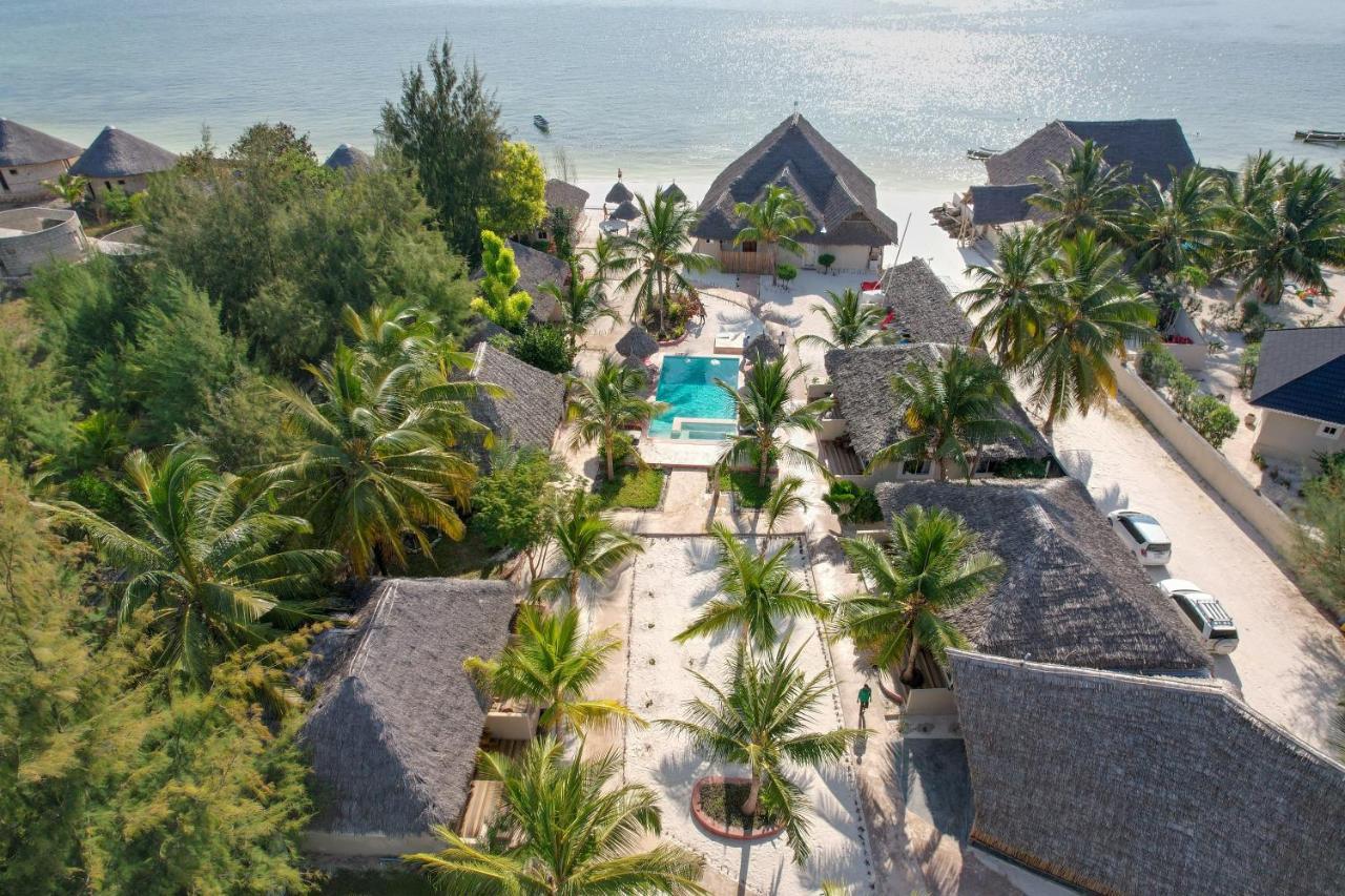 Horizon Of Michamvi Beach Zanzibar Zewnętrze zdjęcie