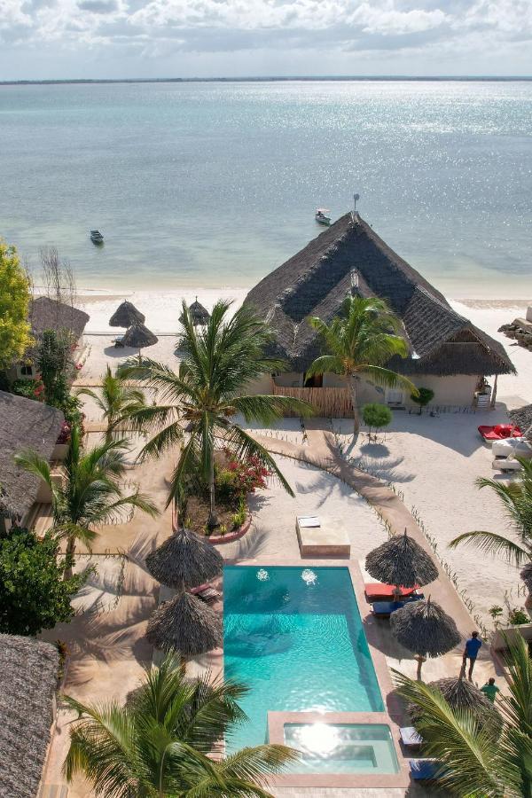 Horizon Of Michamvi Beach Zanzibar Zewnętrze zdjęcie