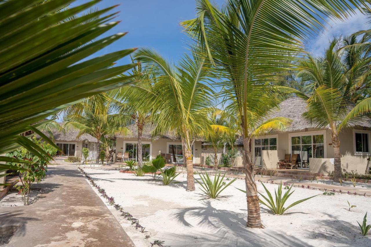 Horizon Of Michamvi Beach Zanzibar Zewnętrze zdjęcie
