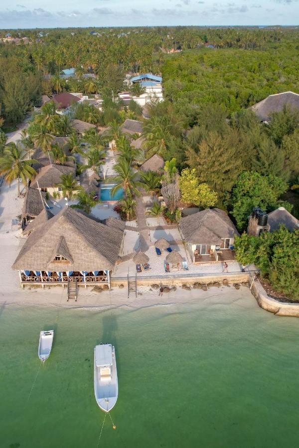 Horizon Of Michamvi Beach Zanzibar Zewnętrze zdjęcie