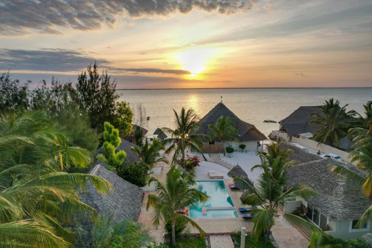 Horizon Of Michamvi Beach Zanzibar Zewnętrze zdjęcie