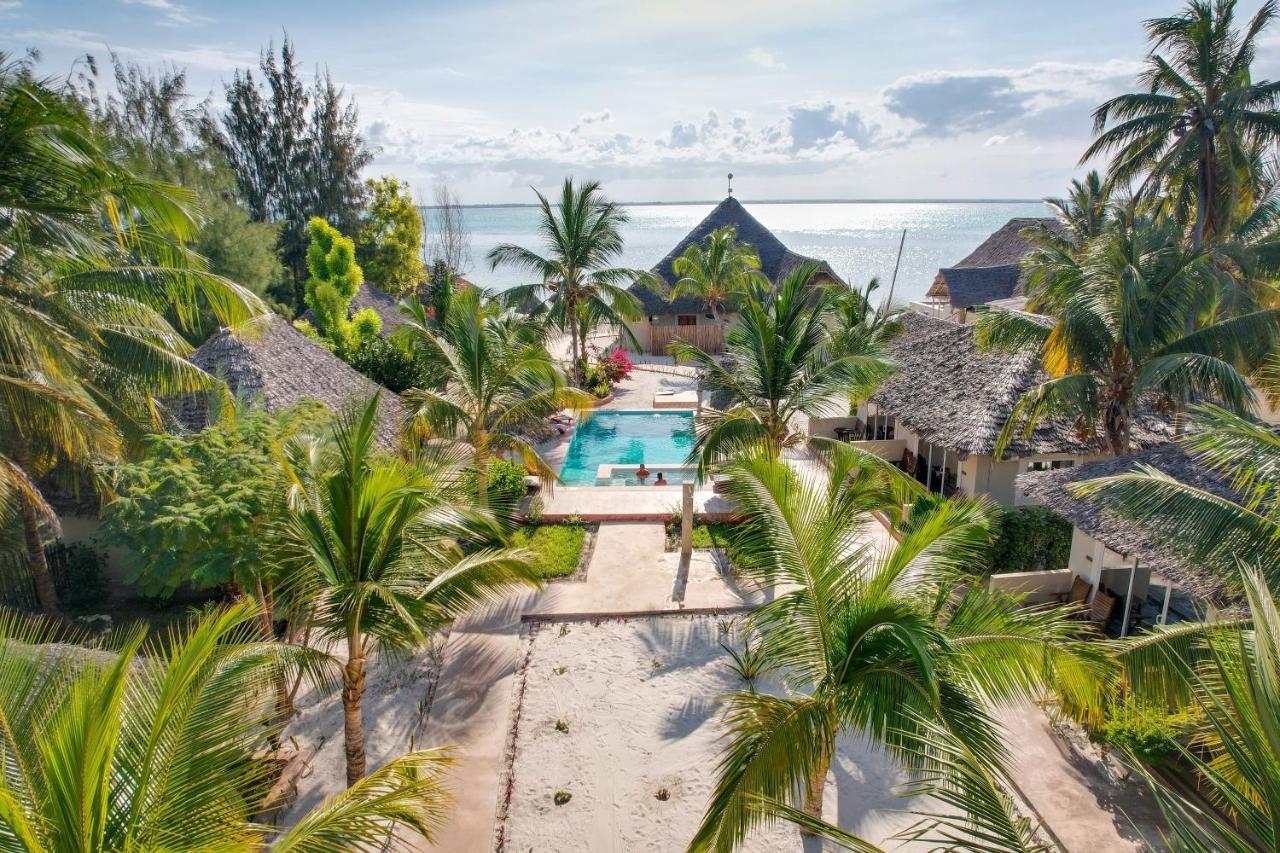 Horizon Of Michamvi Beach Zanzibar Zewnętrze zdjęcie