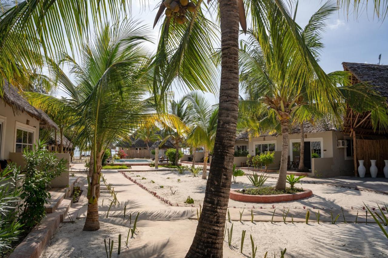 Horizon Of Michamvi Beach Zanzibar Zewnętrze zdjęcie